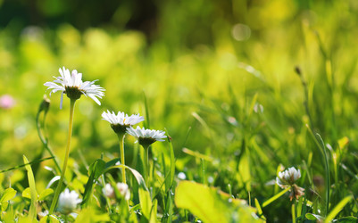 Similar image 20051316