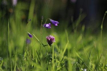 Similar image 20051318