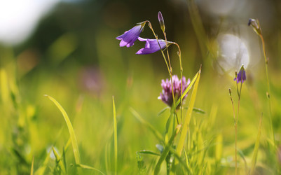 Similar image 20051319