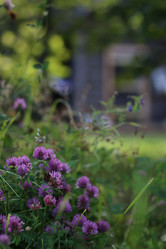 Similar image 20051321