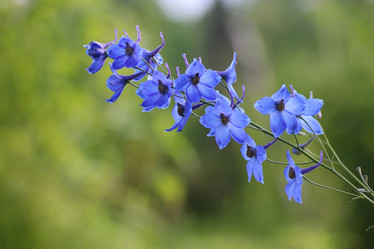 Similar image 20051322