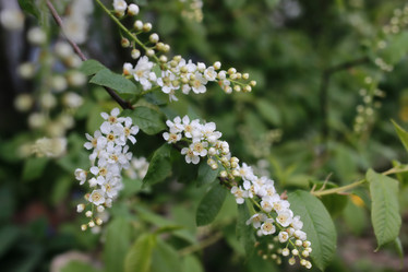 Similar image 20051324