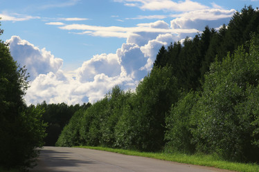 Similar image 20051326