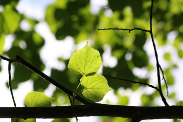 Similar image 20051328