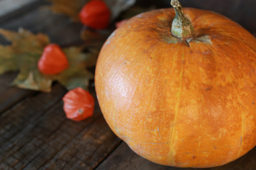 Similar image 20051439