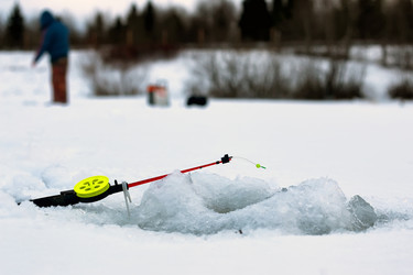 Similar image 20051441