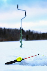 Similar image 20051443