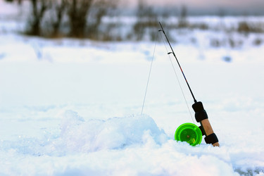 Similar image 20051444