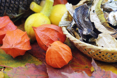 Similar image 20051449