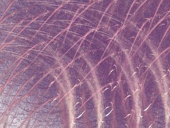 Similar image 19942486