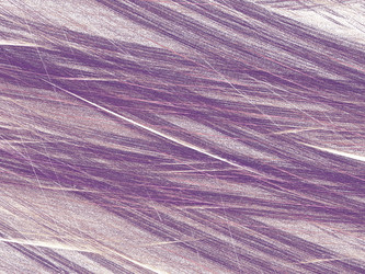 Similar image 19942496