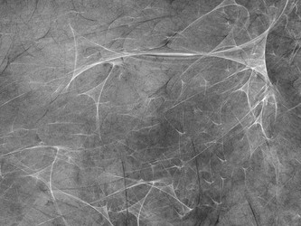 Similar image 19944073