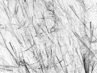 Similar image 19942029