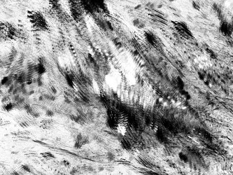 Similar image 19942048