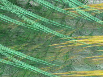 Similar image 19942311