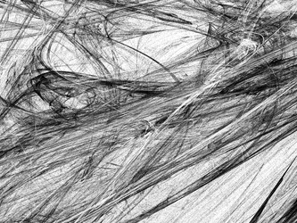 Similar image 19944217