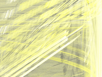 Similar image 19943056