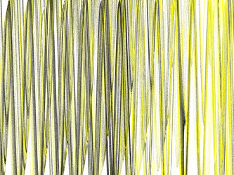 Similar image 19942653