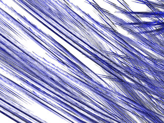 Similar image 19944236