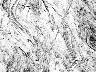 Similar image 19942161