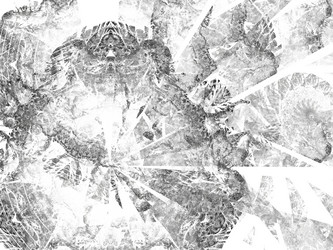 Similar image 19943385