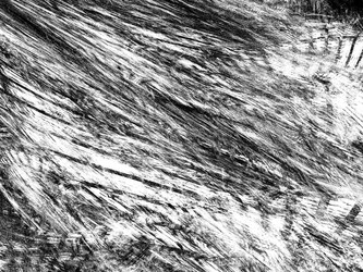 Similar image 19944195