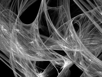 Similar image 19944209