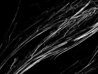 Similar image 19944205