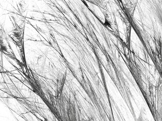 Similar image 19941977