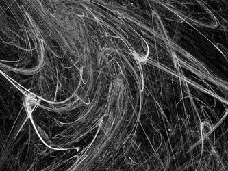 Similar image 19942636