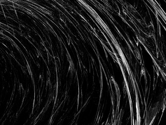 Similar image 19942691