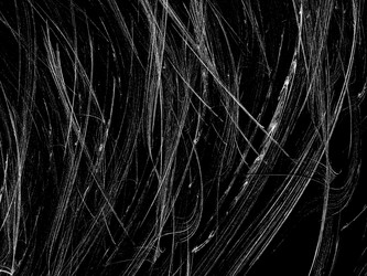 Similar image 19943294