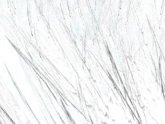 Similar image 19944145