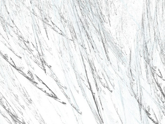 Similar image 19944235