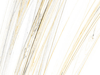 Similar image 19943144