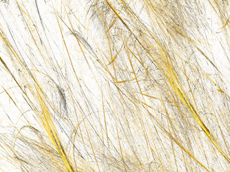 Similar image 19943454