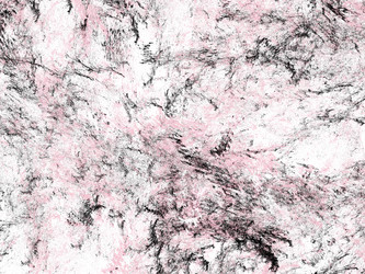 Similar image 19942005