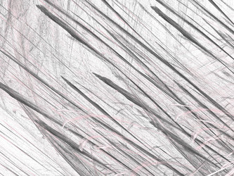 Similar image 19942017