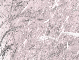 Similar image 19942267