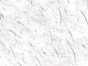 Similar image 19942346