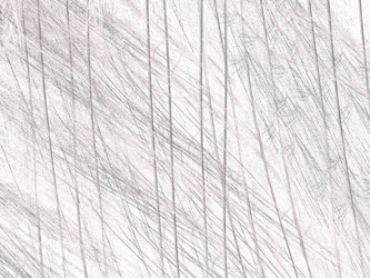 Similar image 19942072