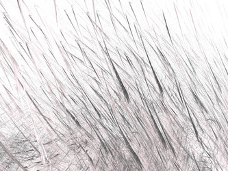 Similar image 19942094