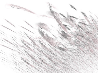 Similar image 19942447