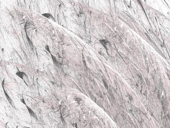 Similar image 19942465