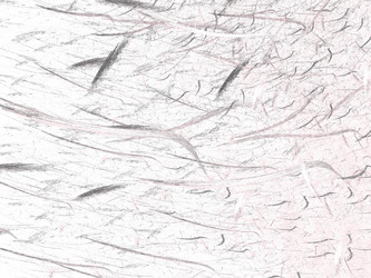 Similar image 19942520