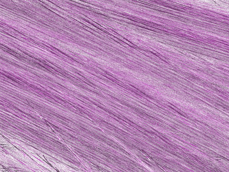 Similar image 19942453