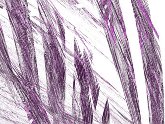 Similar image 19942550