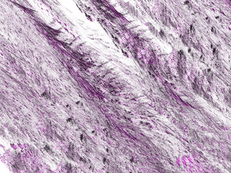 Similar image 19942631