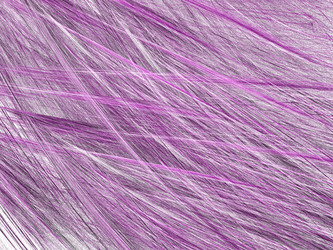 Similar image 19942771