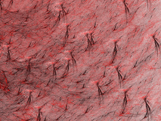 Similar image 19944306